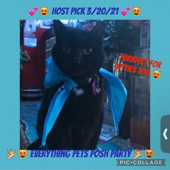 Pet/ human Bandana Poshfixings Exclusive New - Picture 10 of 12